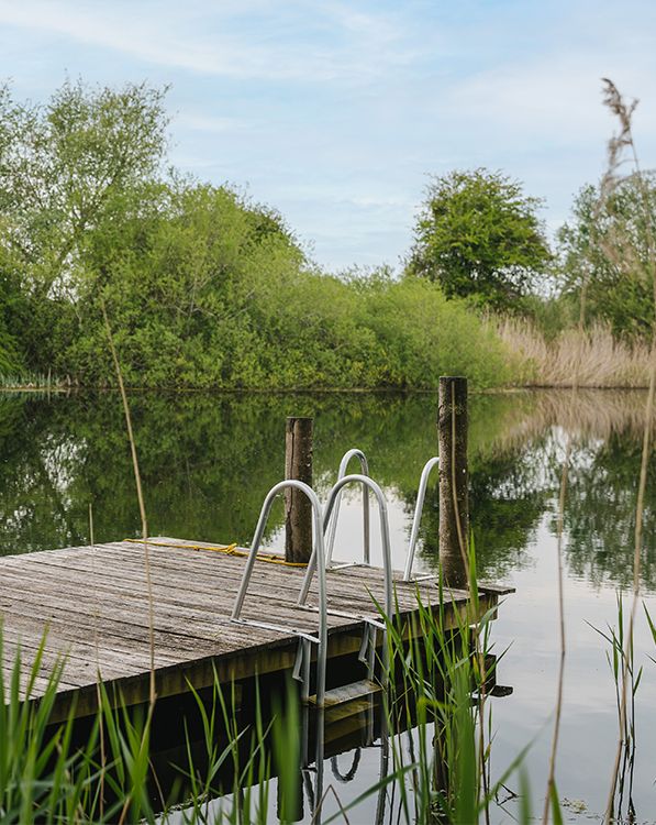 Wild Swimming Pond