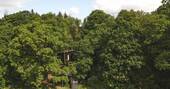 Front exterior view of Wren treehouse amongst the trees