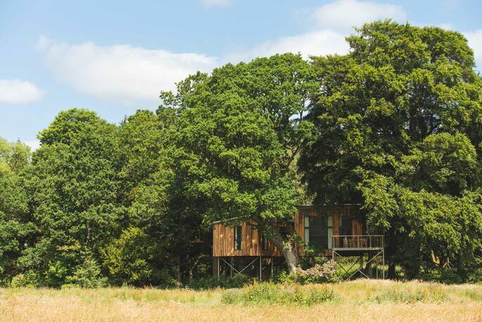 Siski treehouse hidden in the trees