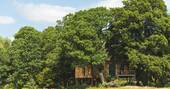 Siski treehouse hidden in the trees