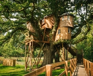 Treehouses