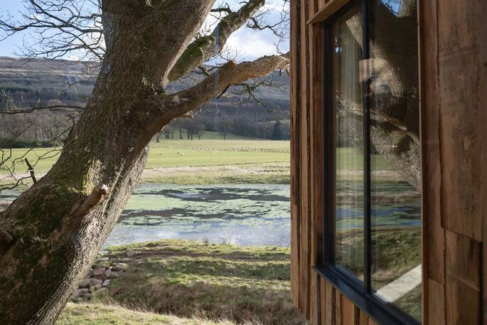 View from the treehouse to the pond