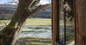 View from the treehouse to the pond