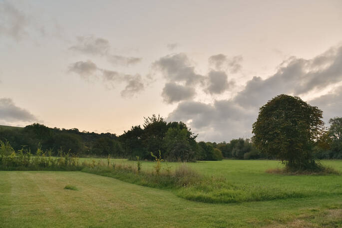 View to the field from the garden