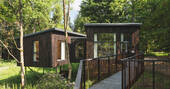 Walkway to the Wren treehouse